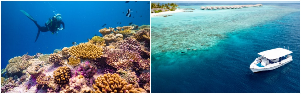 رياضة الغطس