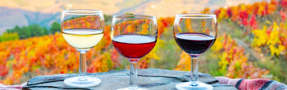 Port Wine Portugal (Vino de Oporto Portugal)