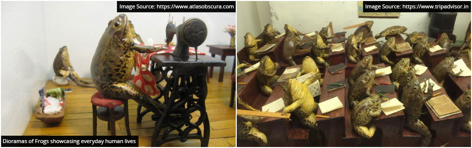 متحف أرض الضفادع