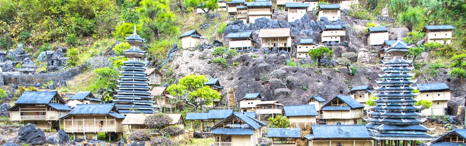 Cosas que hacer en Shenzhen