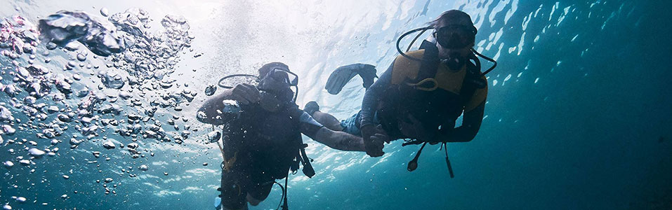 مرافق الفندق