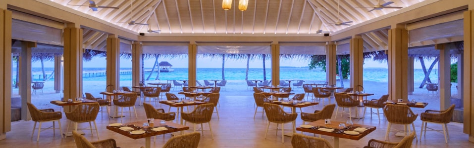 مطعم تايست - المطعم الدولي