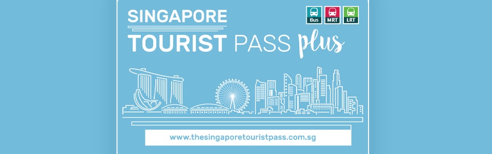 بطاقات السفر