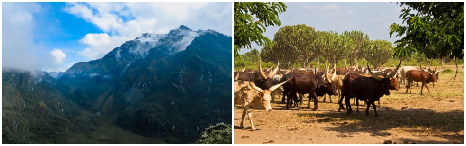 Lugares Para Ver en Uganda