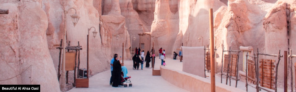 واحة الأحساء (مواصلة)