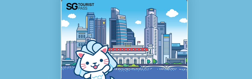 أين يمكن للمرء شراء بطاقات السفر؟