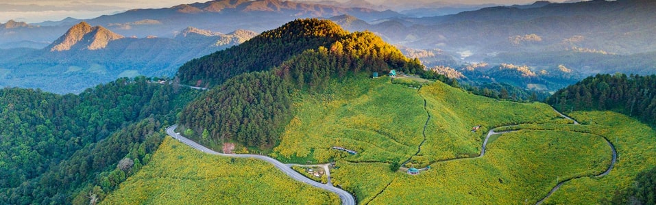 عن ماي هونغ سون