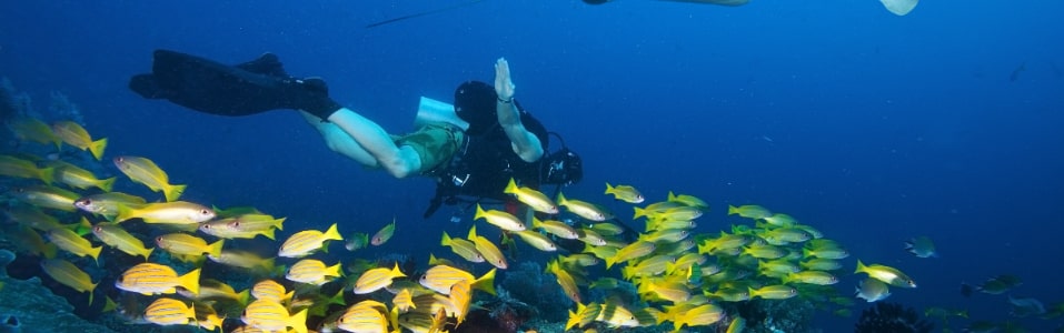 Cosas que Hacer en Mozambique