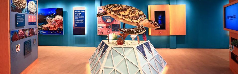 Maldives Discovery Centre