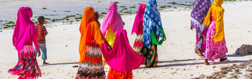 Demografía de Zanzíbar